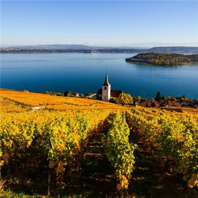 非凡体育APP下载手机app下载