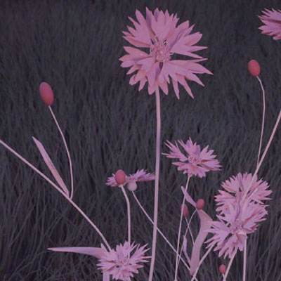 爱游戏com手机app下载