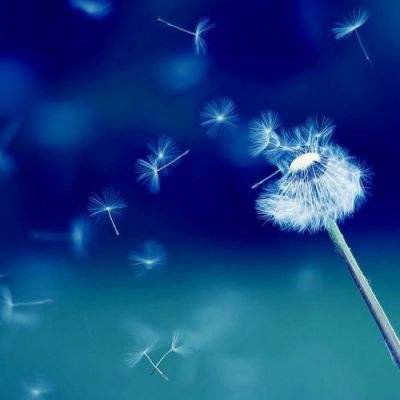 皇冠welcome下载app下载