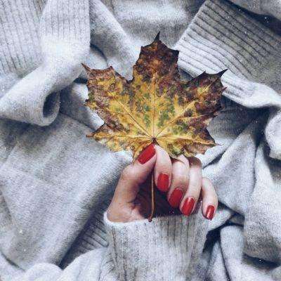 威尼斯软件·下载