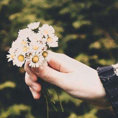 半岛体体育下载截图