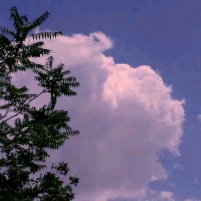 爱游戏com手机app下载