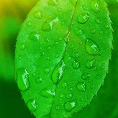 ng体育电子游戏手机app下载